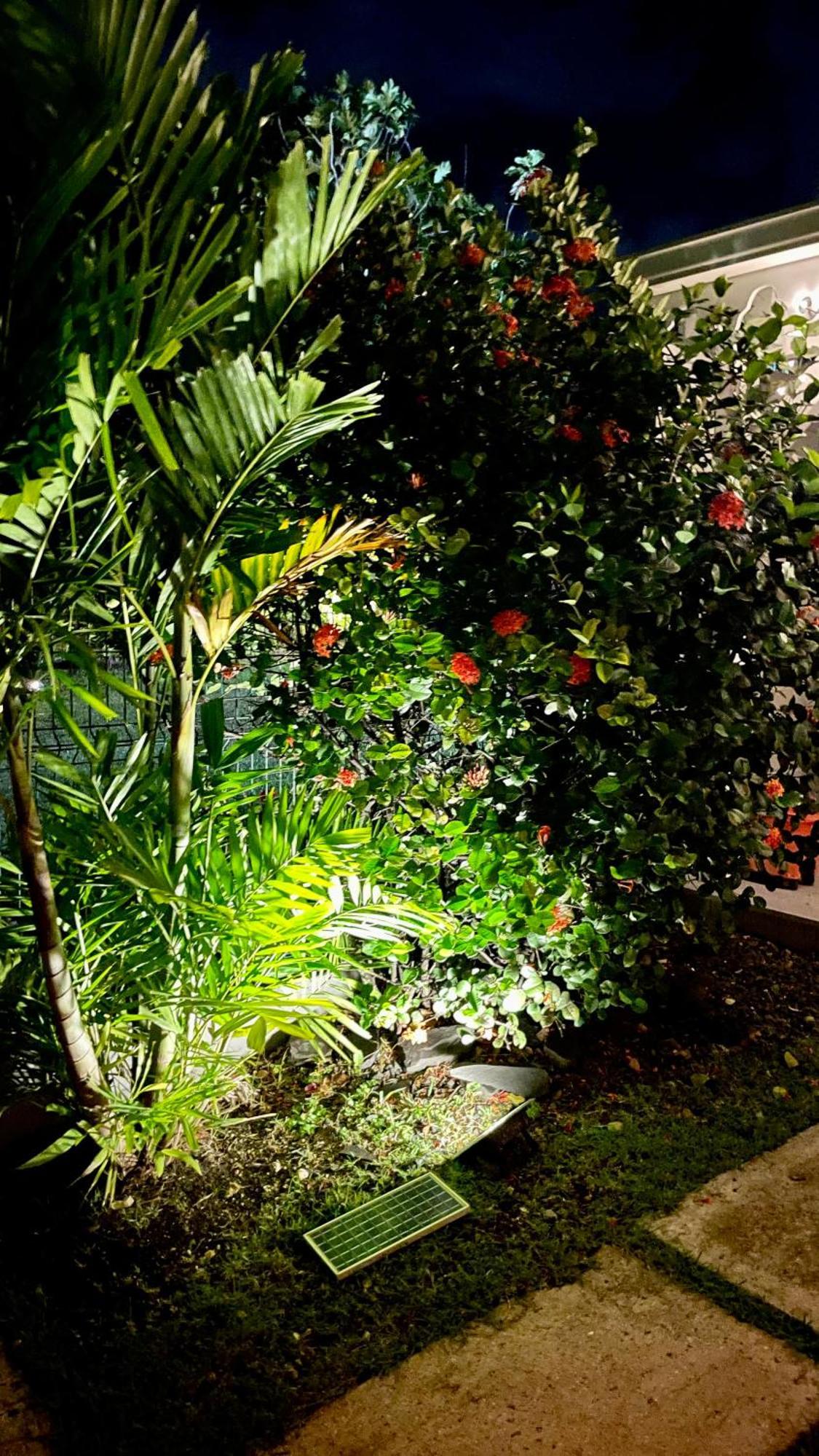 Résidence Cocody Sainte-Anne  Esterno foto